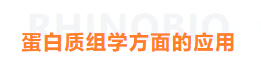 必博娱乐_必博BBO_WElcome~