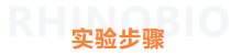 必博娱乐_必博BBO_WElcome~