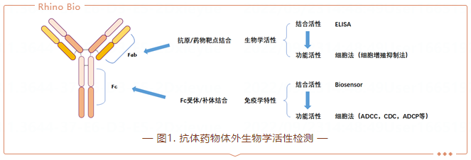 必博娱乐_必博BBO_WElcome~