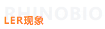 必博娱乐_必博BBO_WElcome~