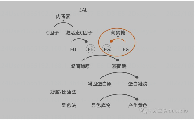 必博娱乐_必博BBO_WElcome~