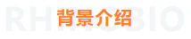 必博娱乐_必博BBO_WElcome~