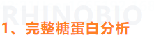 必博娱乐_必博BBO_WElcome~